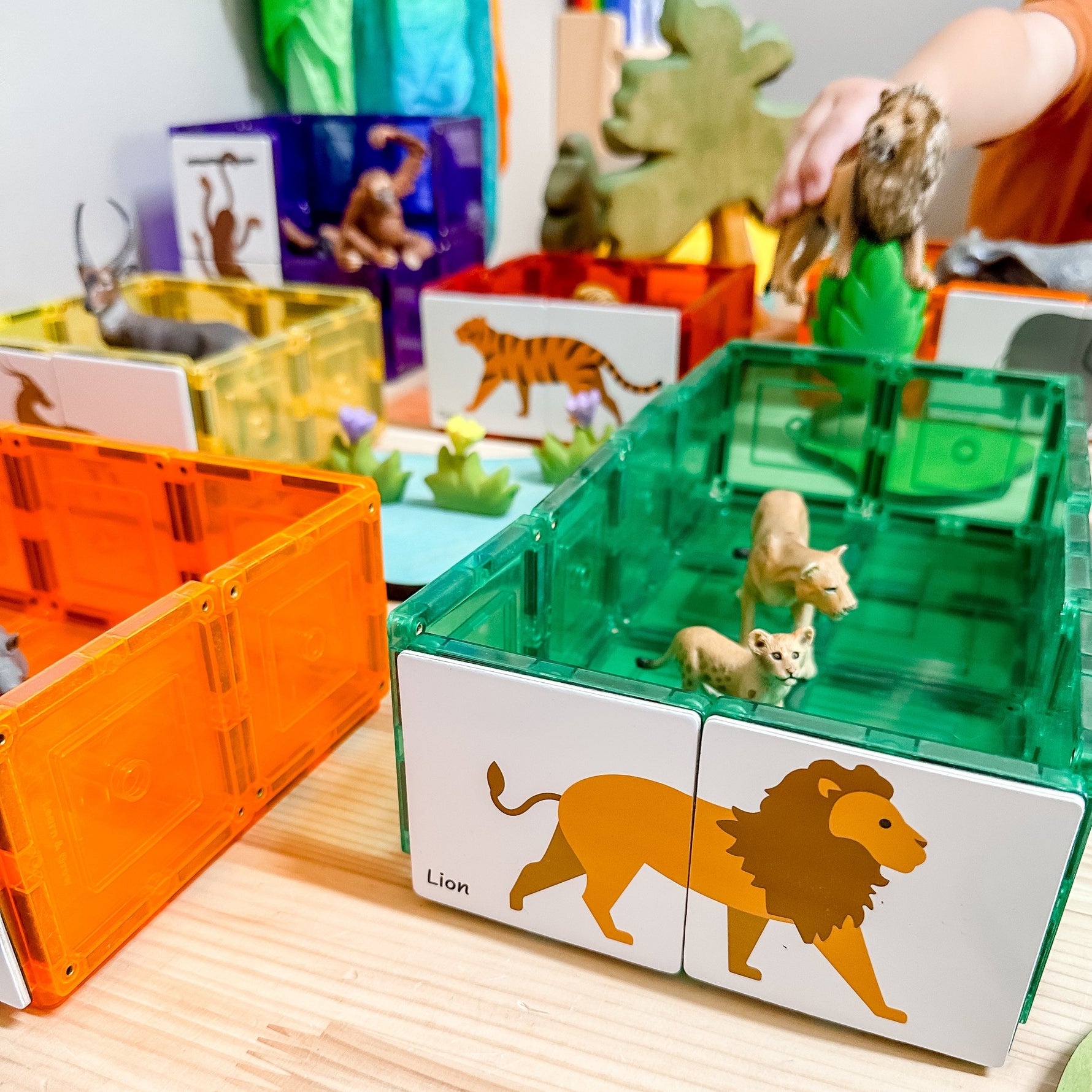 magnetic tile houses set up with duo animal puzzle on the front showing the lion